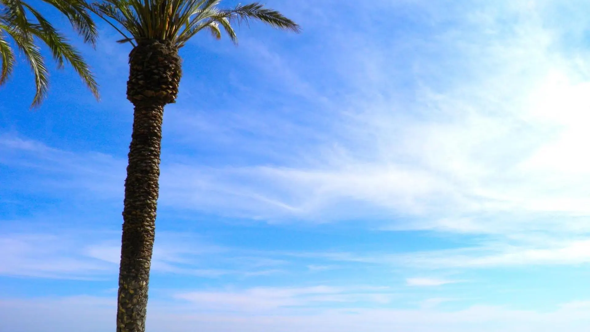 アパート Suitur Apartamento Duquesa Playa Piscina マニルバ